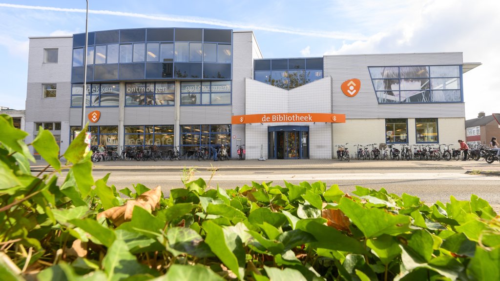 Documentaire The Librarians over boekverboden te zien in bibliotheek Heerenveen in Heerenveen