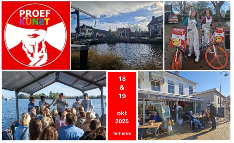 Proef de kunst in Terherne in Heerenveen
